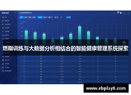 燃脂训练与大数据分析相结合的智能健康管理系统探索